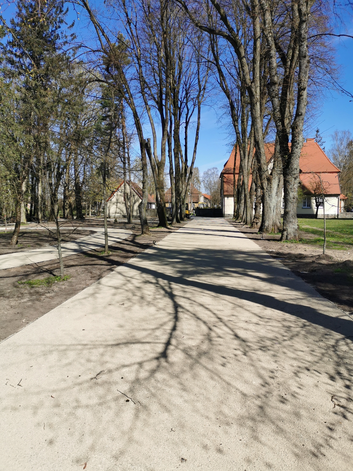 psyllium binder crushed stones hansegrand tegra